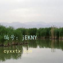 δ