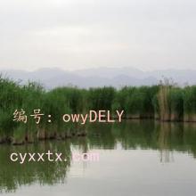 ָ