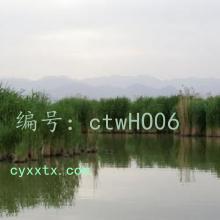 ز